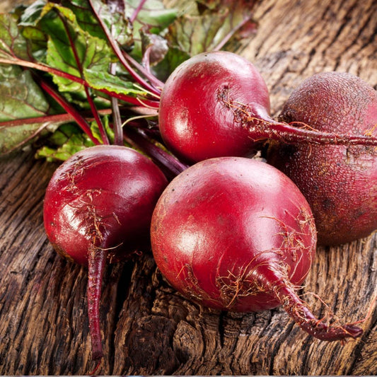 Beetroot - Detroit Red