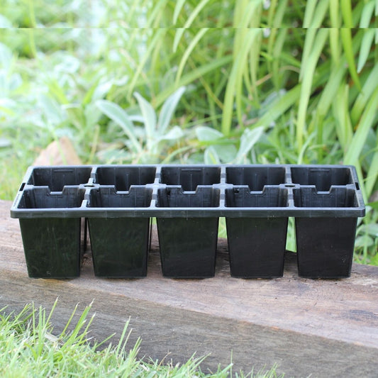 10 Cell Punnets